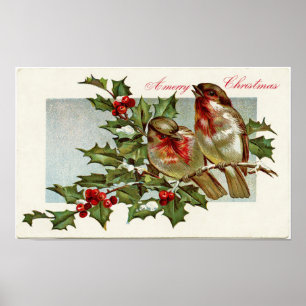  vogels en Holly Poster