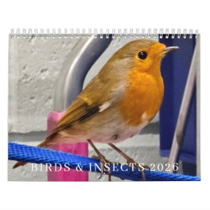 Vogels en insecten 2026 kalender