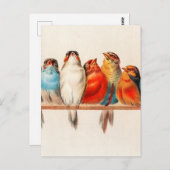 Vogels  en kalm briefkaart (Voorkant / Achterkant)