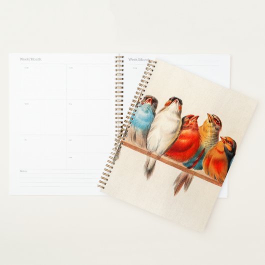 Vogels  en kalm planner (Display)