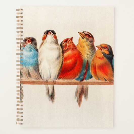 Vogels  en kalm planner (Voorkant)