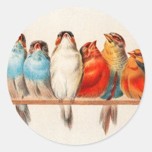 Vogels en kalm ronde sticker