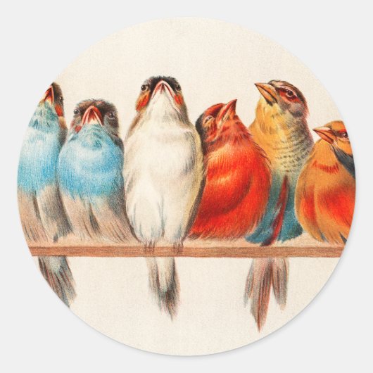 Vogels en kalm ronde sticker (Voorkant)