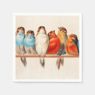 Vogels  en kalm servet
