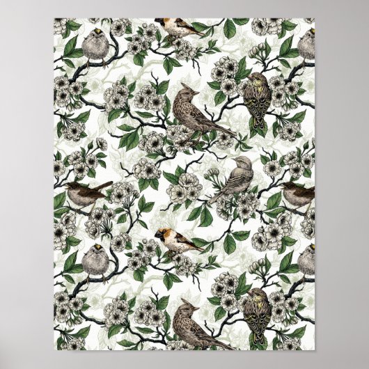 Vogels en kersenbloesem op wit poster (Voorkant)