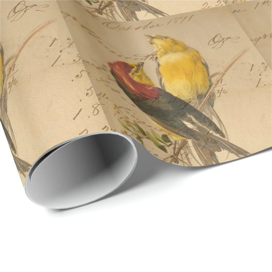 vogels en langerlijker papier (Rol Hoek)