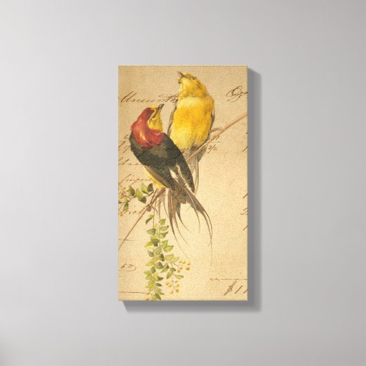  vogels en langerlijker papier canvas afdruk (Voorkant)