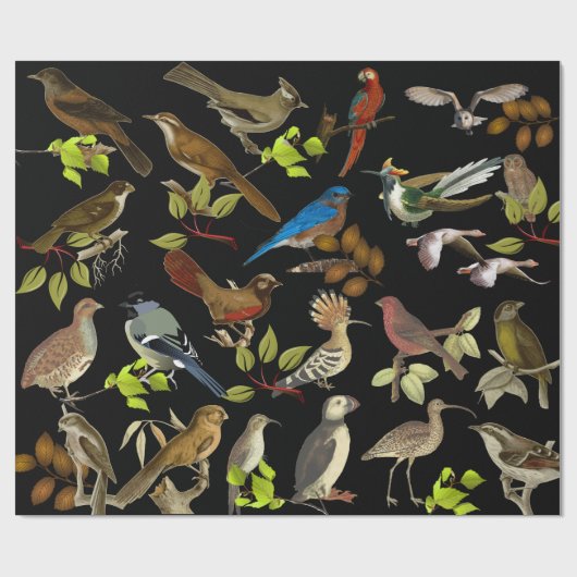 Vogels en meer vogels cadeaupapier (Vlak)