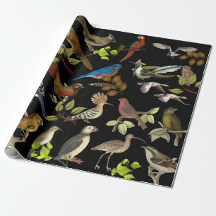Vogels en meer vogels cadeaupapier
