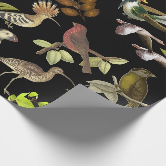 Vogels en meer vogels cadeaupapier (Hoek)