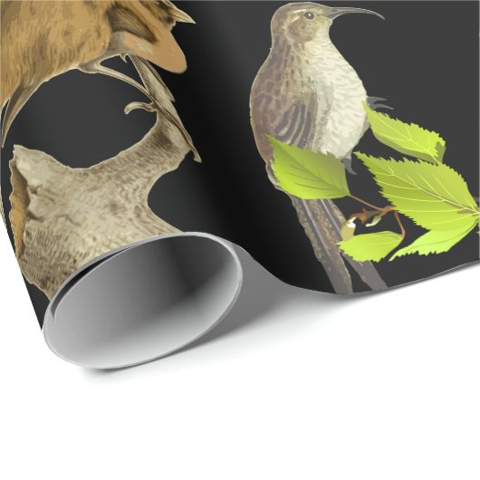Vogels en meer vogels cadeaupapier (Rol Hoek)