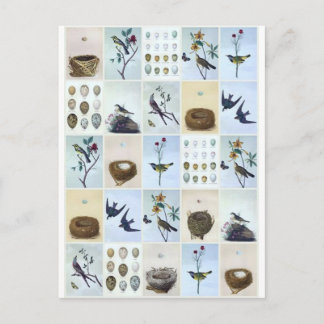 Vogels en nesten briefkaart