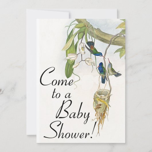 Vogels en nestvogels Uitnodiging tot Baby shower (Voorkant)