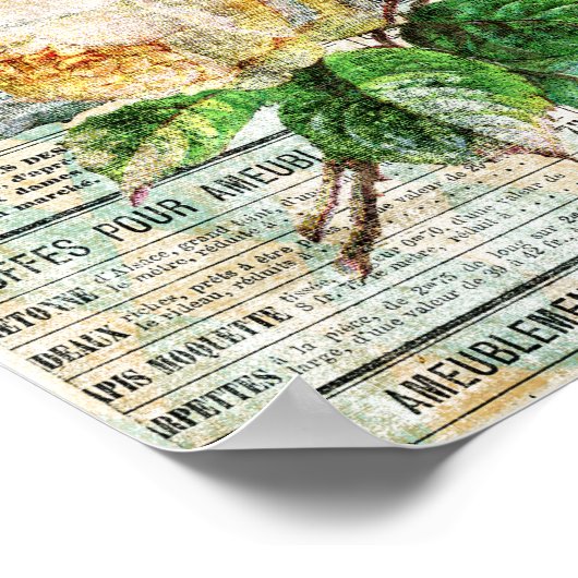 Vogels en Rozen Poster (Hoek)