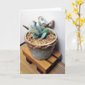 Vogels en Succulents Notecard Kaart (Gele Bloem)