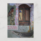 Vogels en Vissen Collage Briefkaart (Voorkant)