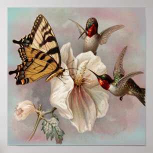 vogels en vlinder delen van een maaltijd poster