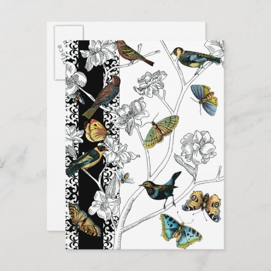 Vogels en vlinder op een zwarte en witte achtergro briefkaart (Voorkant / Achterkant)
