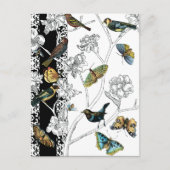 Vogels en vlinder op een zwarte en witte achtergro briefkaart (Voorkant)