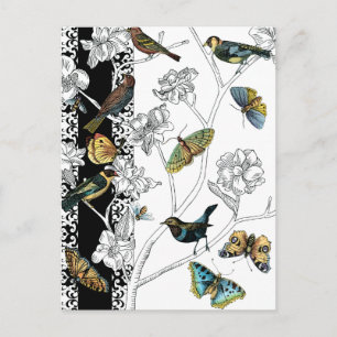 Vogels en vlinder op een zwarte en witte achtergro briefkaart