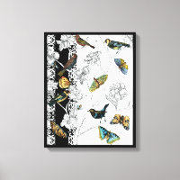 Vogels en vlinder op een zwarte en witte achtergro