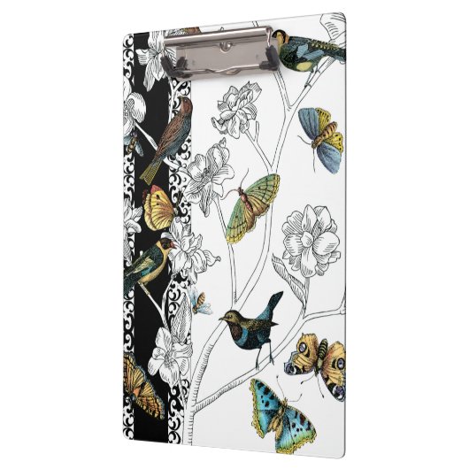 Vogels en vlinder op een zwarte en witte achtergro klembord (Links)