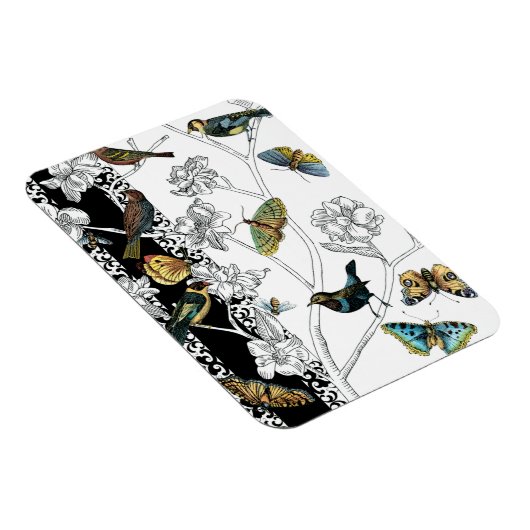 Vogels en vlinder op een zwarte en witte achtergro magneet (Rechterzijde)