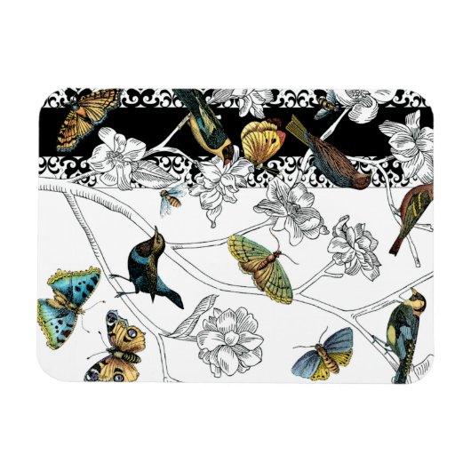 Vogels en vlinder op een zwarte en witte achtergro magneet (Horizontaal)