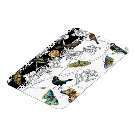 Vogels en vlinder op een zwarte en witte achtergro magneet (Linkerzijde)