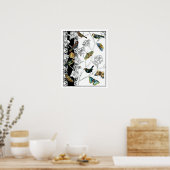 Vogels en vlinder op een zwarte en witte achtergro poster (Keuken)