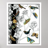 Vogels en vlinder op een zwarte en witte achtergro poster (Voorkant)