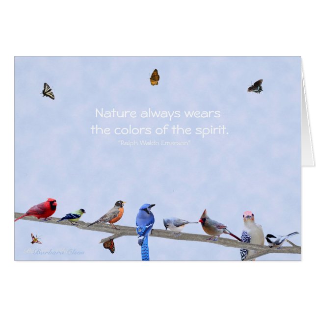 Vogels en vlinders draag kleuren van de geest: (Voorkant Horizontaal)