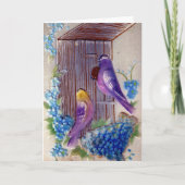 Vogels en vogelhuis kaart (Voorkant)