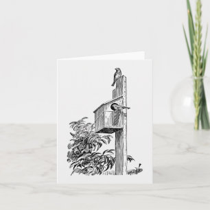 vogels en vogelhuisnoot Kaart