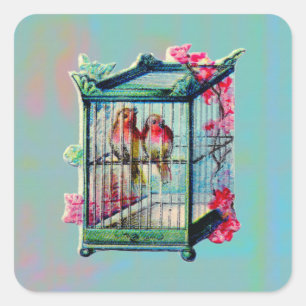  vogels en vogelkooien vierkante sticker