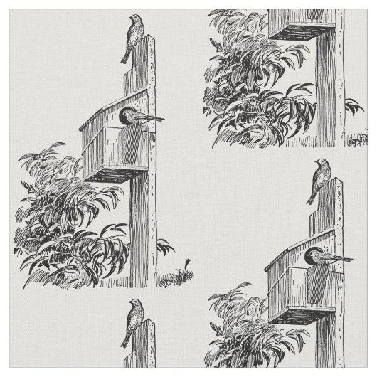  vogels en vogelweefsel stof (Close Up)