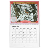Vogels en water (grootschalig) kalender (Feb 2027)