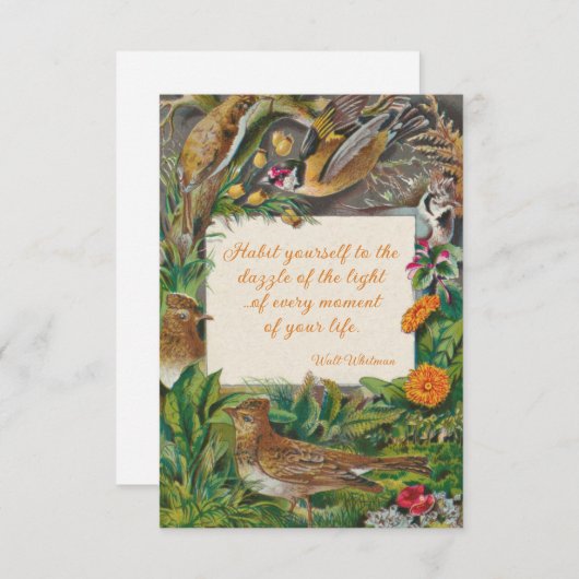 vogels en Whitman (Duizelaar van het licht) Notitiekaartje (Voorkant / Achterkant)
