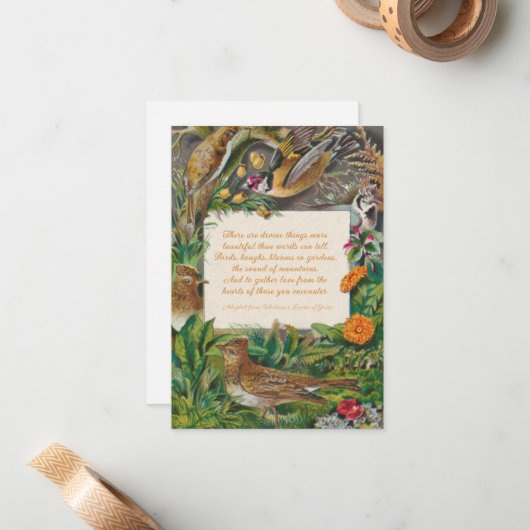  vogels en Whitman (goddelijke dingen) Notitiekaartje (Voorkant / Achterkant in situ)