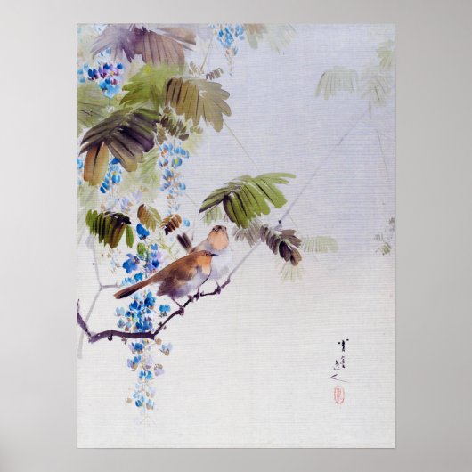 Vogels en Wisteria Flowers, Watanabe Seitei Poster (Voorkant)