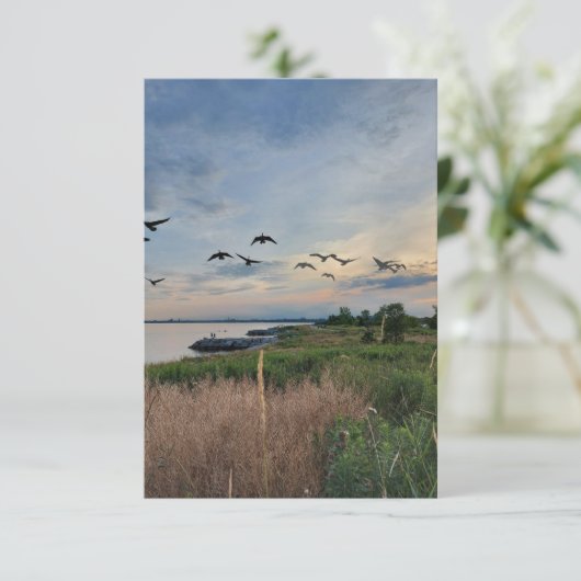 Vogels en zonnestralen op het Wenskaart van het me (Staand voorkant)