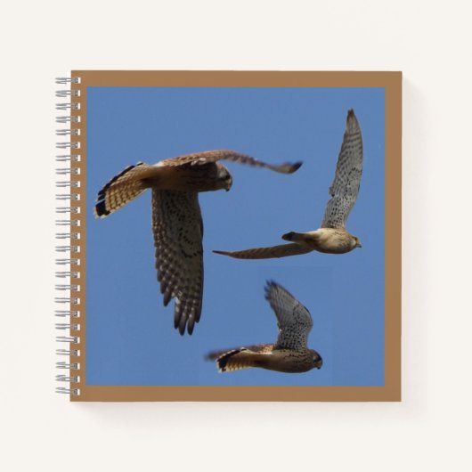 Vogels fotografie-koet. Notitieboek tekst (Voorkant)