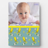 vogels fotoplaat (voorkant)