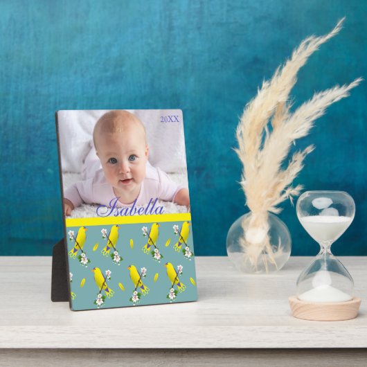 vogels fotoplaat (Zijkant)