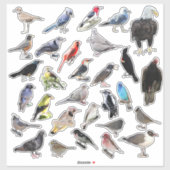 Vogels Galore Sticker (Vel)
