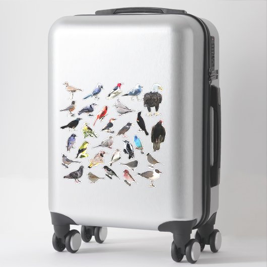 Vogels Galore Sticker (Koffer)