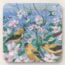 Vogels geel vink bloeit