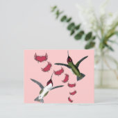 Vogels grazen met vleugels briefkaart (Staand voorkant)