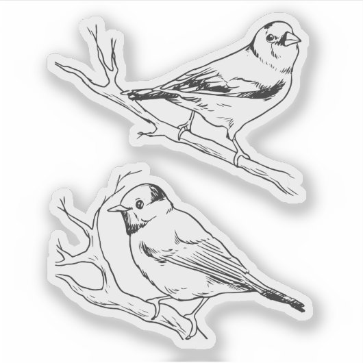 Vogels hand getekend zwart & wit Modern natuurlijk Sticker (Voorkant)