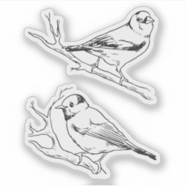 Vogels handgetekend zwart & wit Modern natuurlijk Sticker